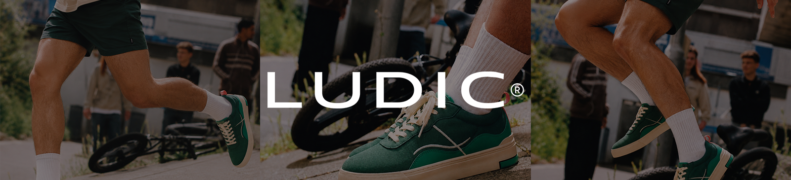 LUDIC