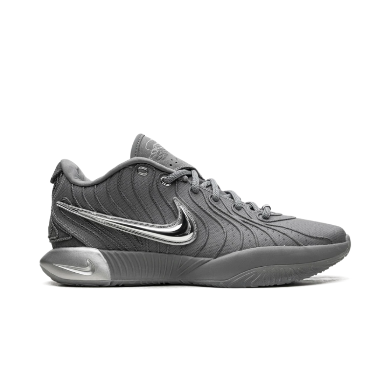 Nike LeBron 21 Cool Grey