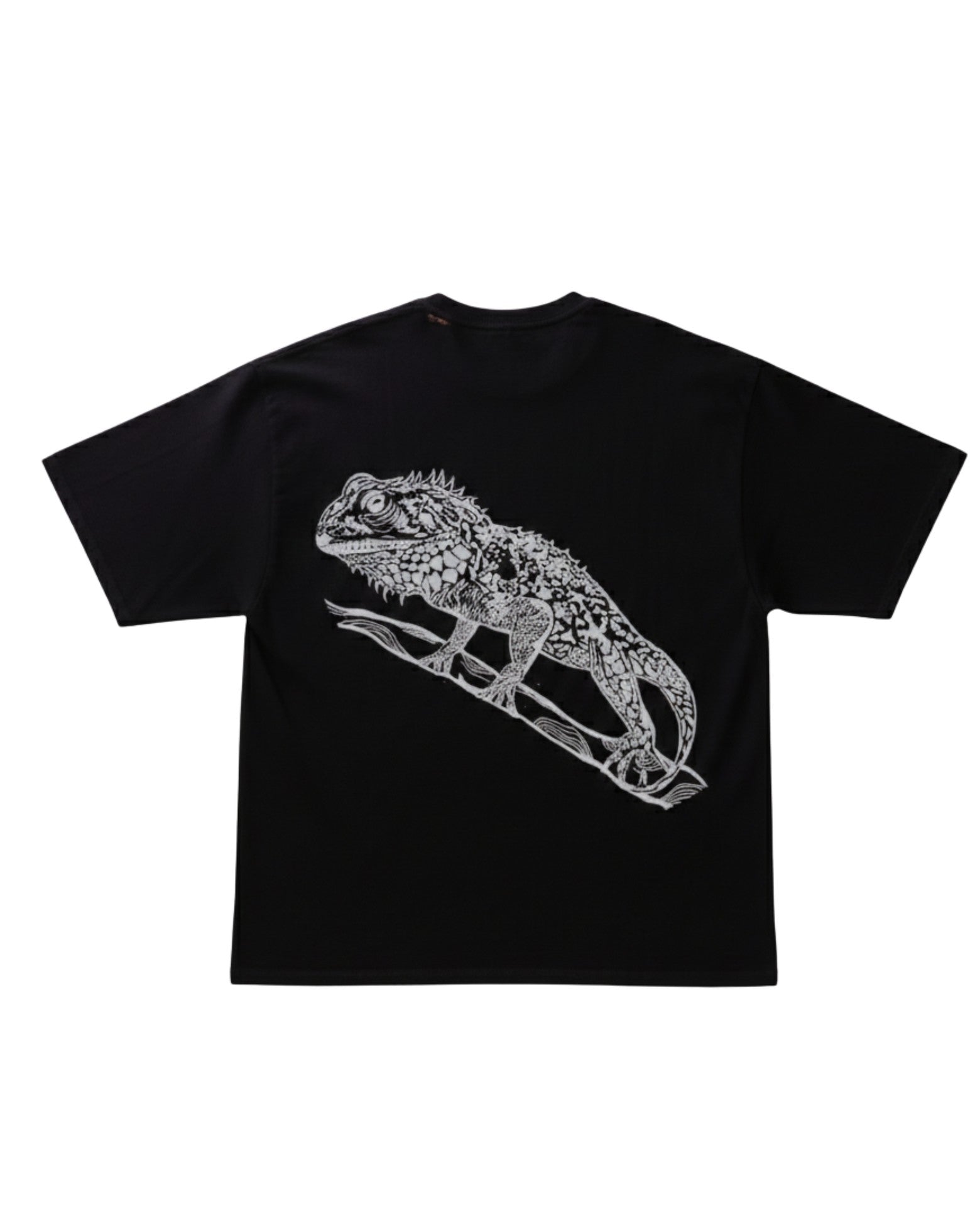 Radiant Reptile