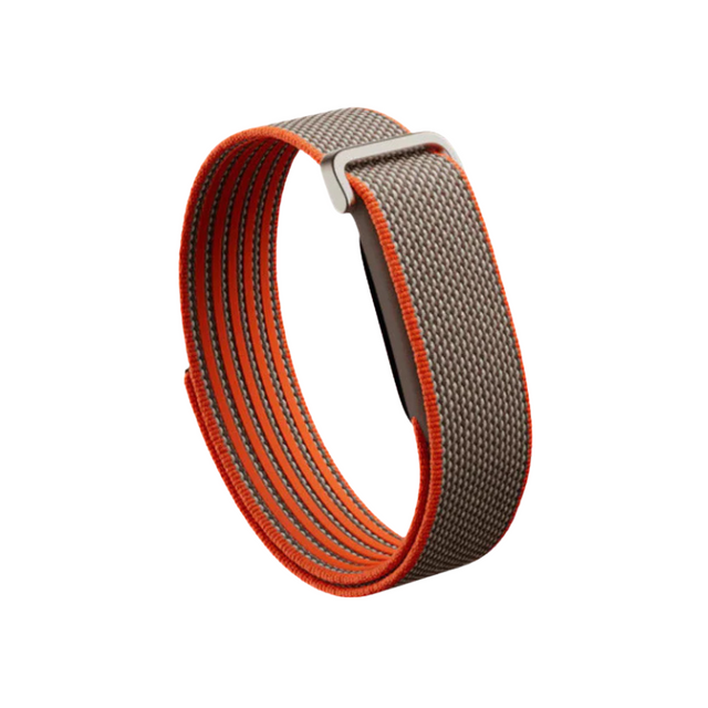 Google Fitbit Air Classic