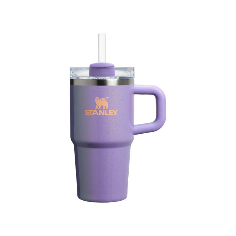 Stanley The Quencher H2.O Flowstate Tumbler With Handle 20 Oz Periwinkle Shimmer