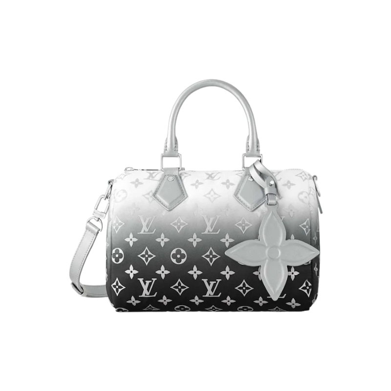 Louis Vuitton Speedy Bandouliere 25 Frost Gardiant Silver
