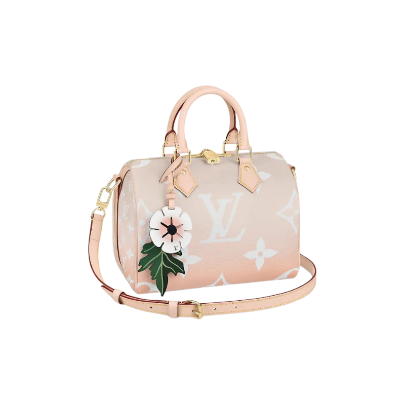 Louis Vuitton Speedy Bandouliere Gradient Pastel 25 Mist Gray