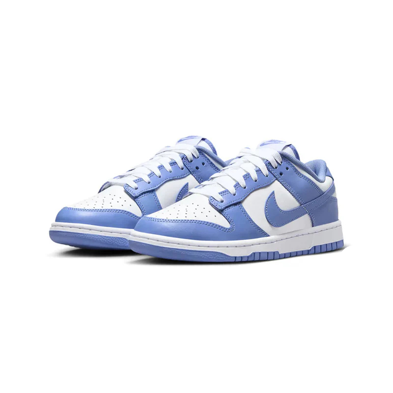 Nike Dunk Low Polar Blue