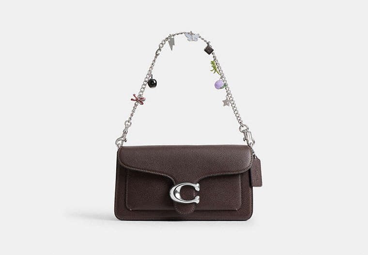 Charm Chain Strap - Silver/Multi