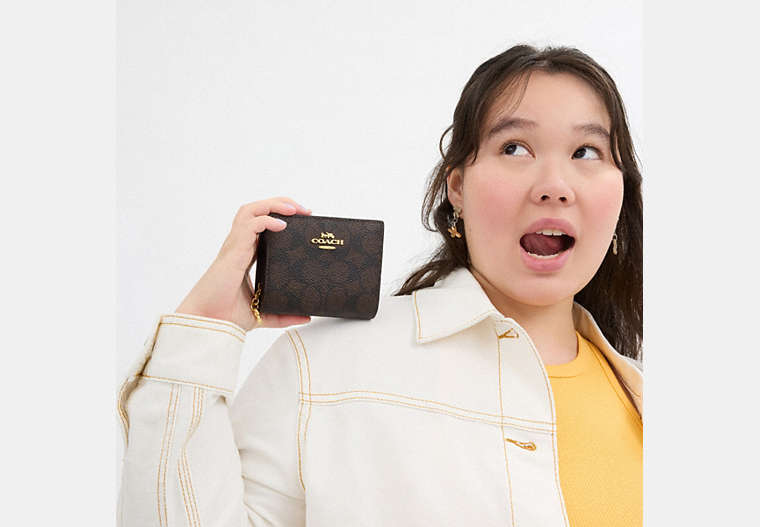 Snap Wallet In Signature Chenille - Gold/Walnut/Black