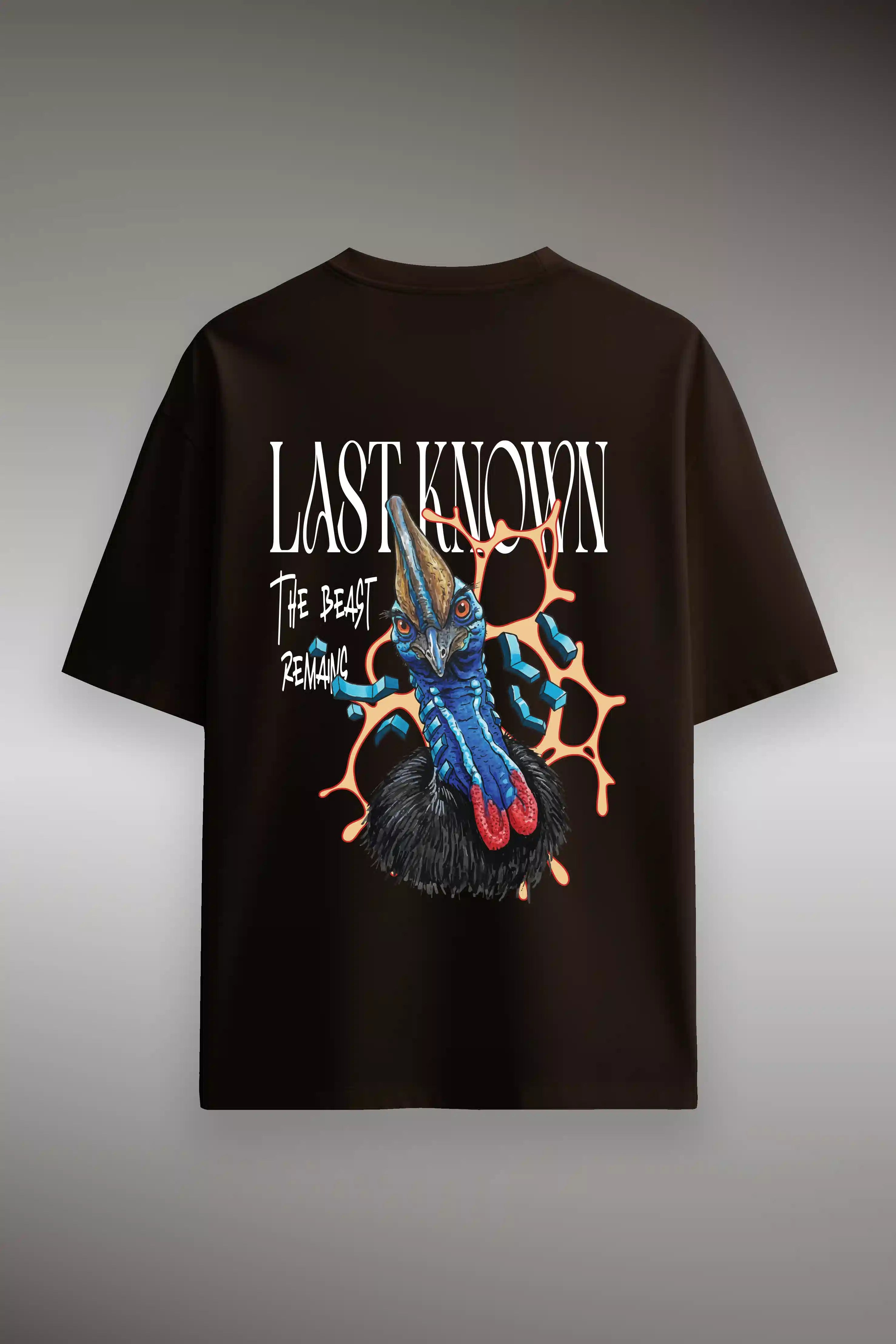 Last Known Oversized Graphic T-Shirt