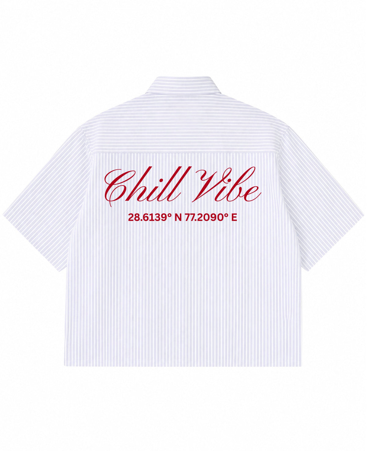 Blue Striped Oxford Boxy Shirt Back Design