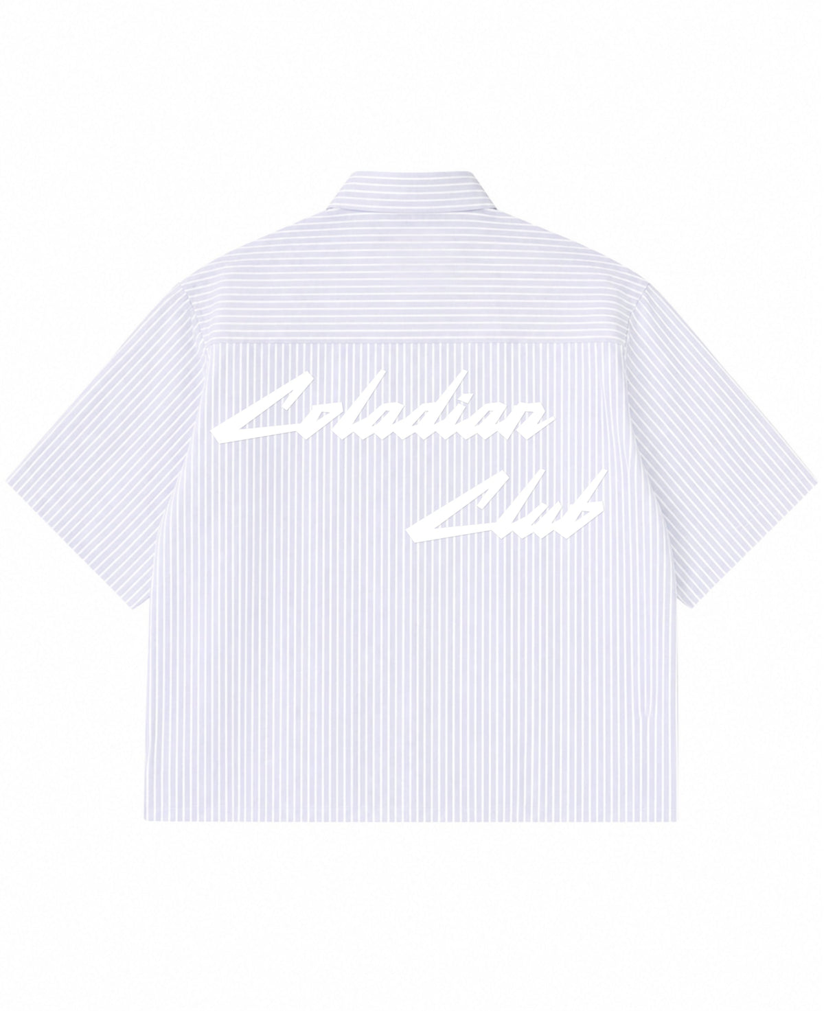 Blue Striped Oxford Boxy Shirt Back Design