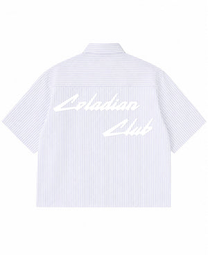 Blue Striped Oxford Boxy Shirt Back Design