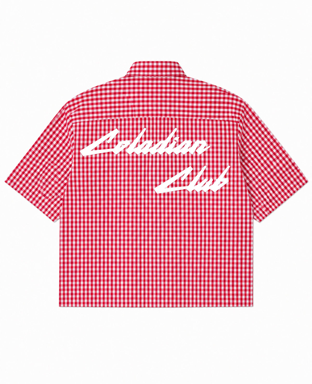 Red Picnic Oxford Boxy Shirt Back Design